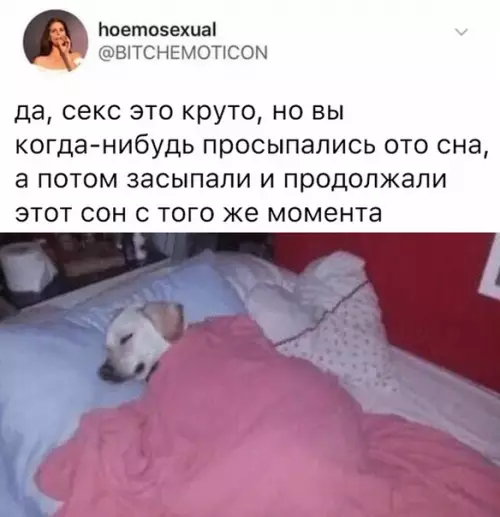 Смешная картинка №510033