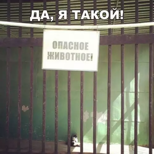 Смешная картинка №197986