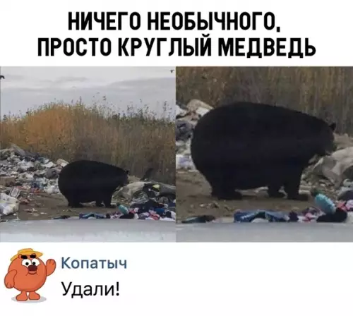 Смешная картинка №352988