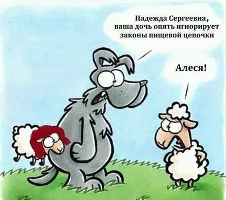 Смешная картинка №308031