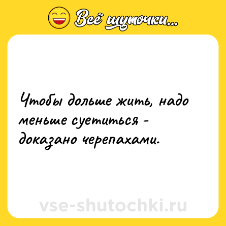 Шутка: Чтобы дольше жить, надо меньше суетиться - доказано черепахами.