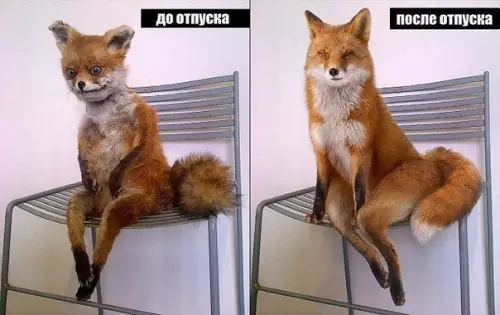 Смешная картинка №367427