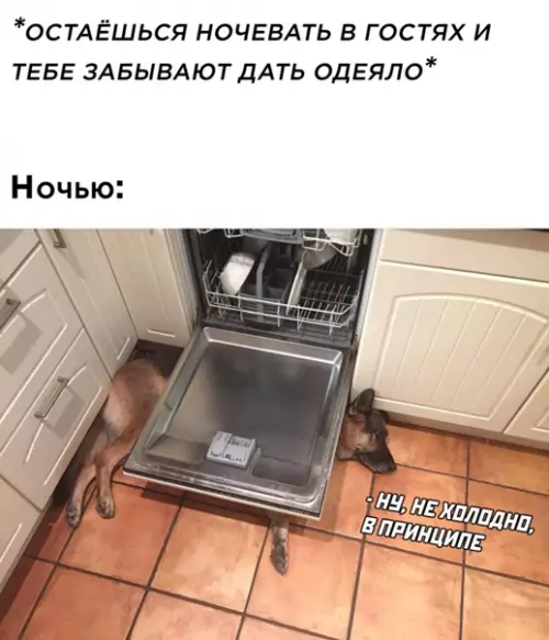 Смешная картинка №544264