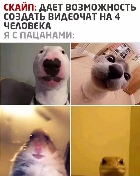 Смешная картинка №544357