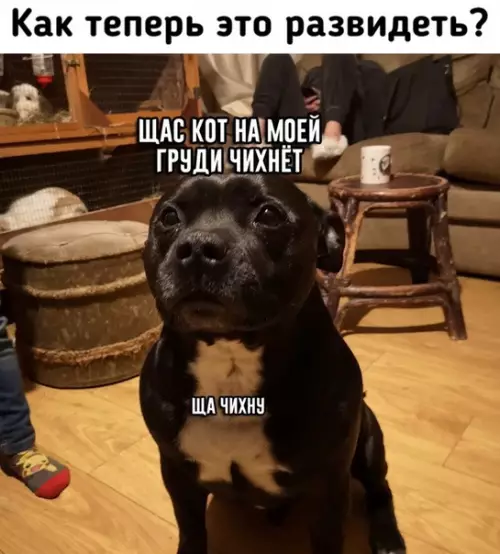 Смешная картинка №377183