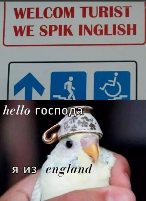 Смешная картинка №656261