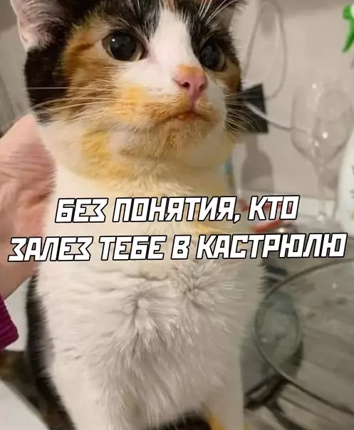 продолжение Смешная картинка №578650