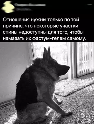 Смешная картинка №679691