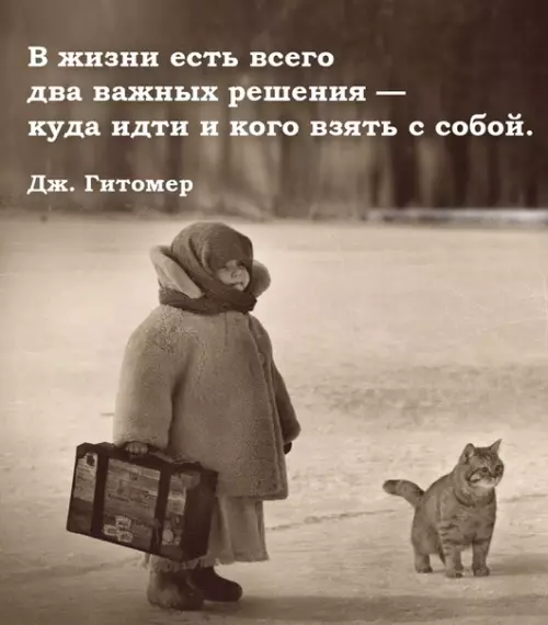 Смешная картинка №493083 Мудрость дня
