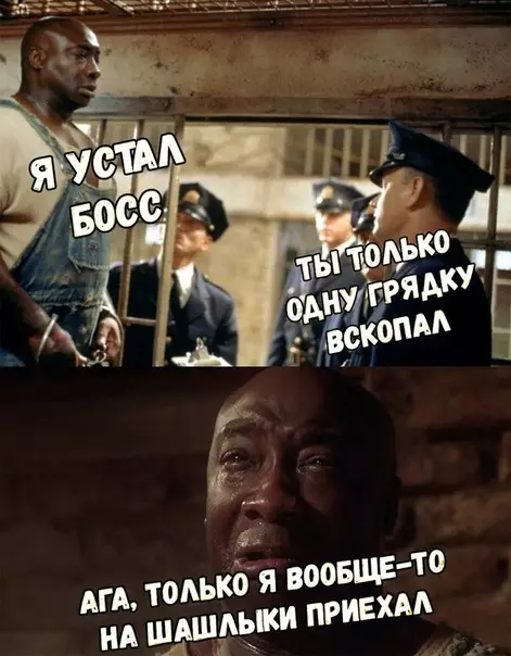 Смешная картинка №355065