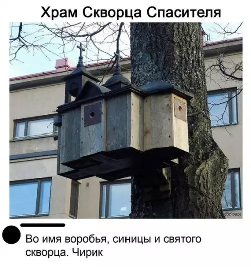 Смешная картинка №536916 О пресвятой дятел!