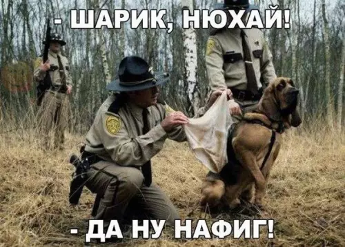Смешная картинка №266672