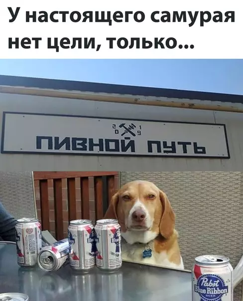 Смешная картинка №515349