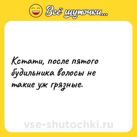 Шутка: Кстати, после пятого будильника волосы не такие уж грязные. 