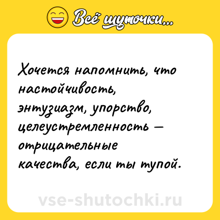 Шутка: Хочется напомнить, что настойчивость, энтузиазм, упорство, целеустремленность — отрицательные качества, если ты тупой.