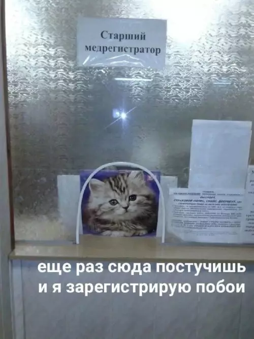 Смешная картинка №697426