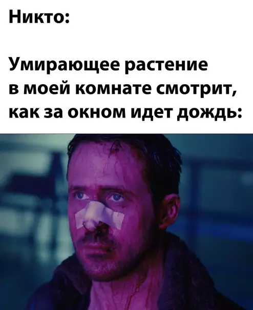 Смешная картинка №561889