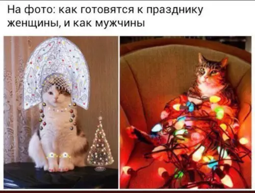 Смешная картинка №230459