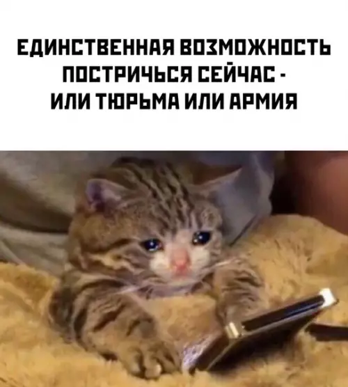Смешная картинка №488896