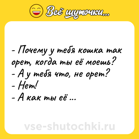 Шутка: - Почему у тебя кошка так орет, когда ты её моешь? <br>- А у тебя что, не орет? <br>- Нет! <br>- А как ты её выжимаешь?