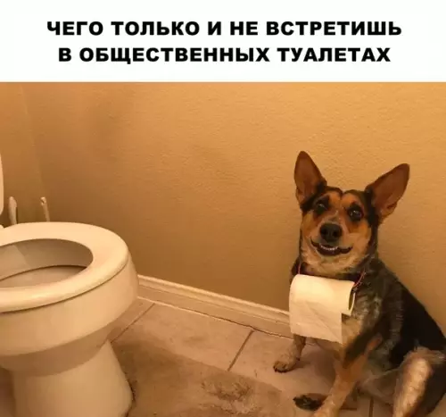 Смешная картинка №287104