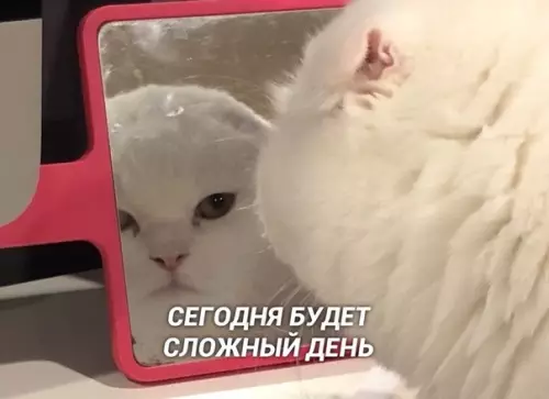 Смешная картинка №408263 С добрым утром, товарищи!