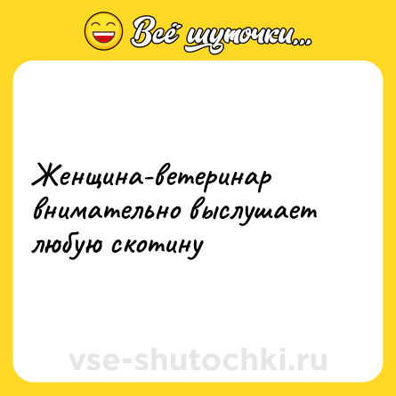 Шутка: Женщина-ветеринар внимательно выслушает любую скотину