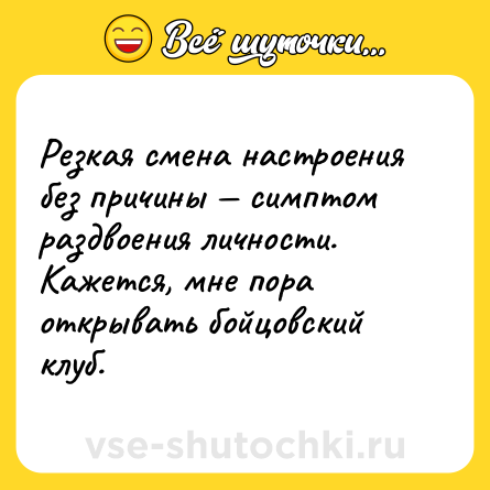 Шутка: Резкая смена настроения без причины — симптом раздвоения личности. Кажется, мне пора открывать бойцовский клуб.