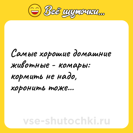 Шутка: Самые хорошие домашние животные - комары: кормить не надо, хоронить тоже...
