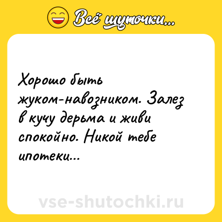 Шутка: Хорошо быть жуком-навозником. Залез в кучу дерьма и живи спокойно. Никой тебе ипотеки…