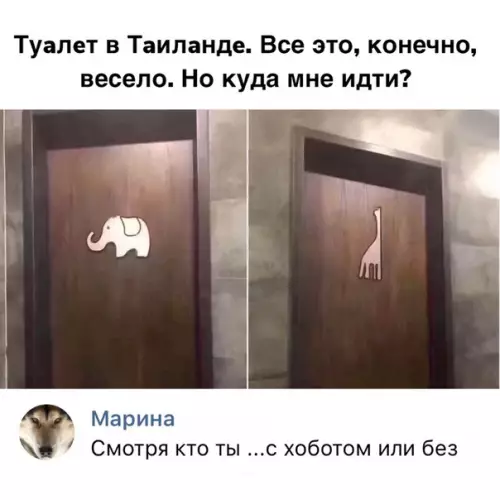 Смешная картинка №310118