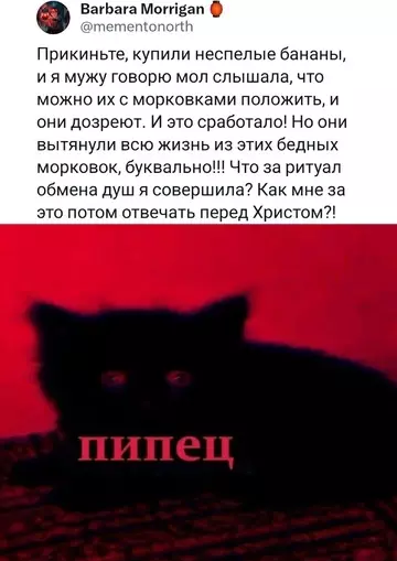 Смешная картинка №743241