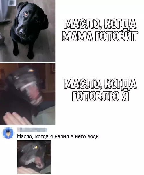 Смешная картинка №456261
