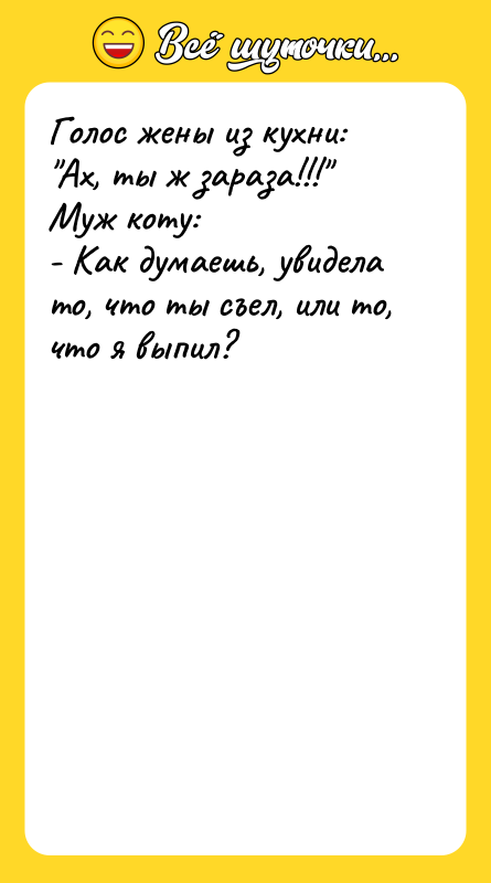 Голос жены из кухни: Ах, ты ж зараза!!! Муж коту: