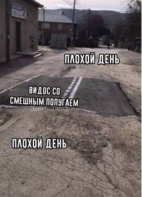 Смешная картинка №774072