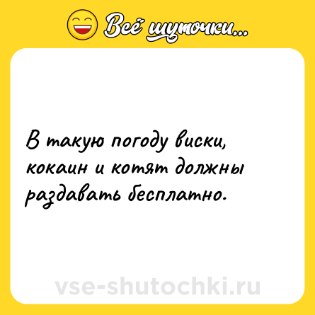 Шутка: В такую погоду виски, кокаин и котят должны раздавать бесплатно.