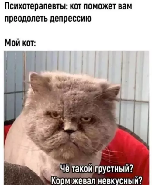 Смешная картинка №698527