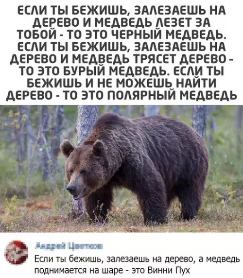 Смешная картинка №531444