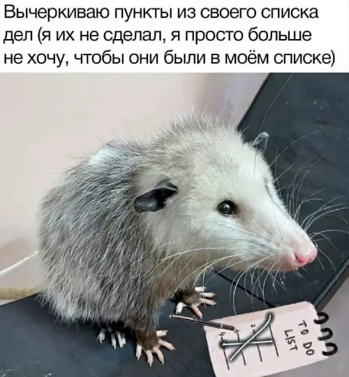 Смешная картинка №683101