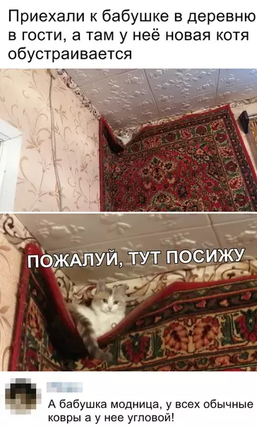 Смешная картинка №348749