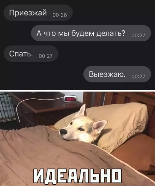 Смешная картинка №567981