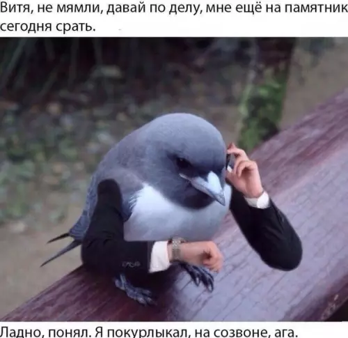 Смешная картинка №533034