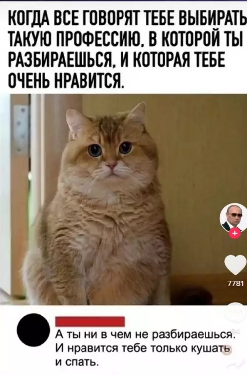 Смешная картинка №646946