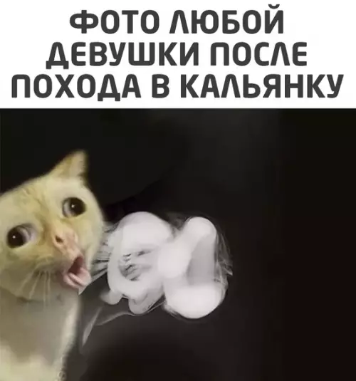 Смешная картинка №549191
