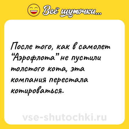 Шутка: После того, как в самолет “Аэрофлота” не пустили толстого кота, эта компания перестала котироваться.