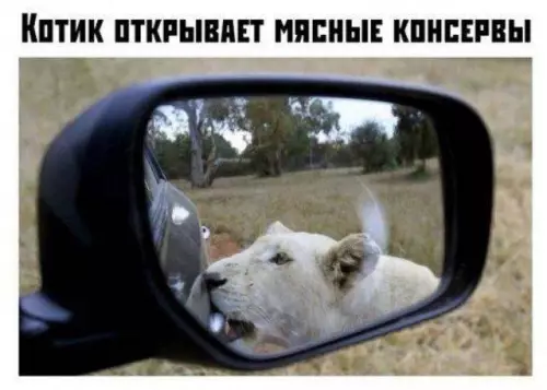 Смешная картинка №693193