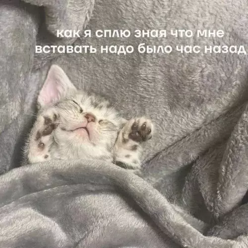 Смешная картинка №779463