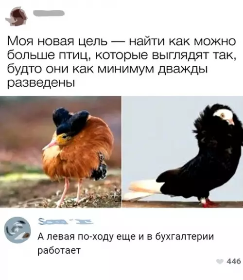 Смешная картинка №498174 Действительно
