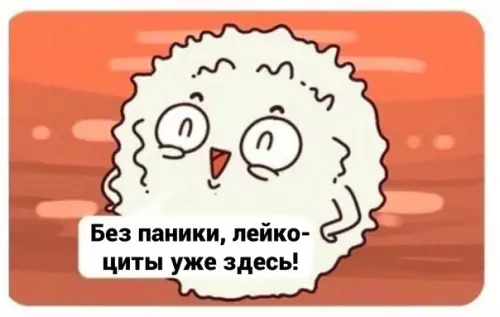 продолжение Смешная картинка №579692 Mилый лeйкoцит