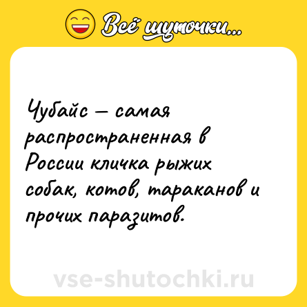 Шутка: Чубайс — самая распространенная в России кличка рыжих собак, котов, тараканов и прочих паразитов.